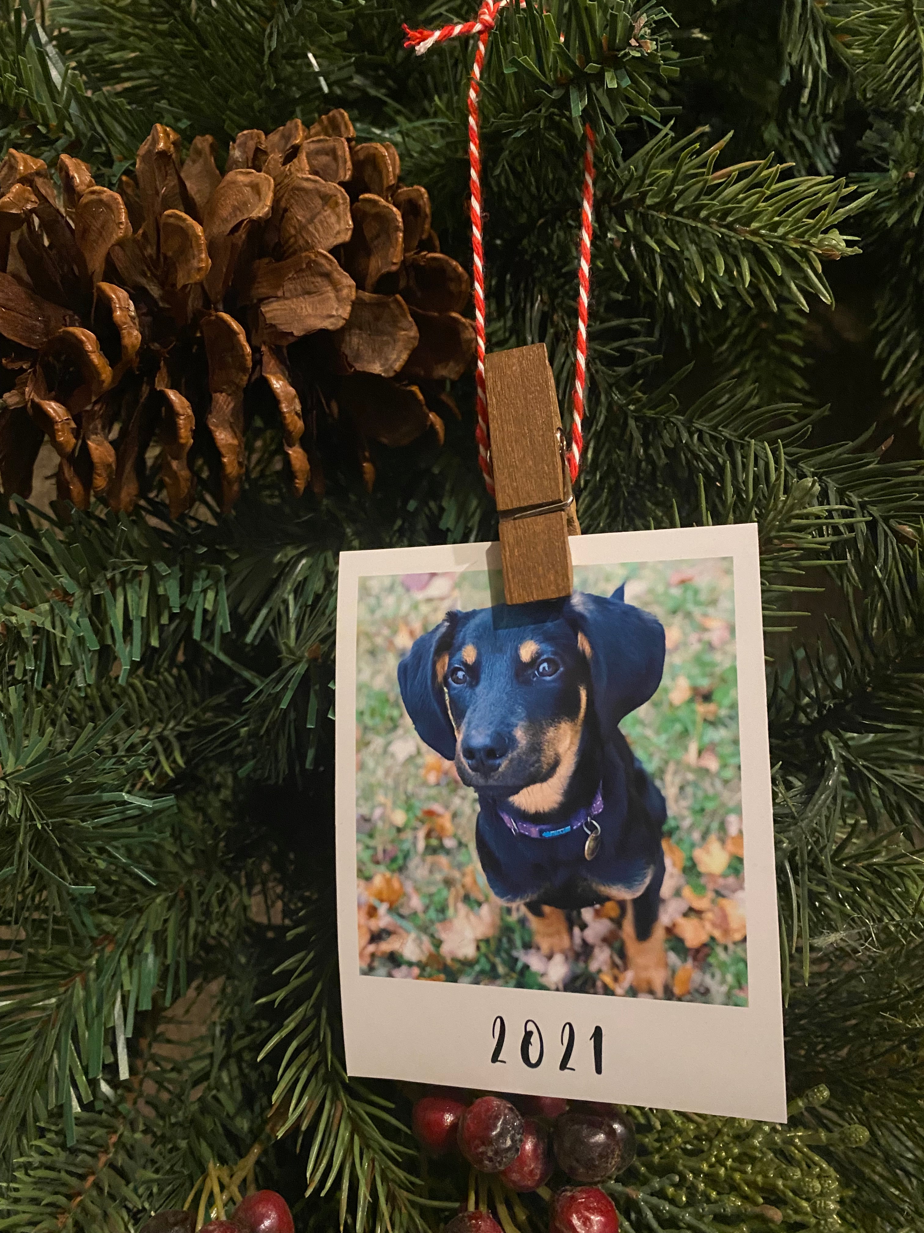 Personalized Polaroid Photo Ornament with Magnet Backing